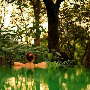 Wayanad Wild - A Cgh Earth Experience Resort Vythiri